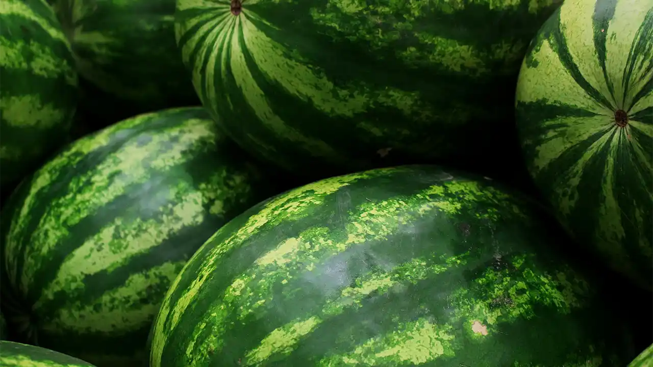 Watermelons