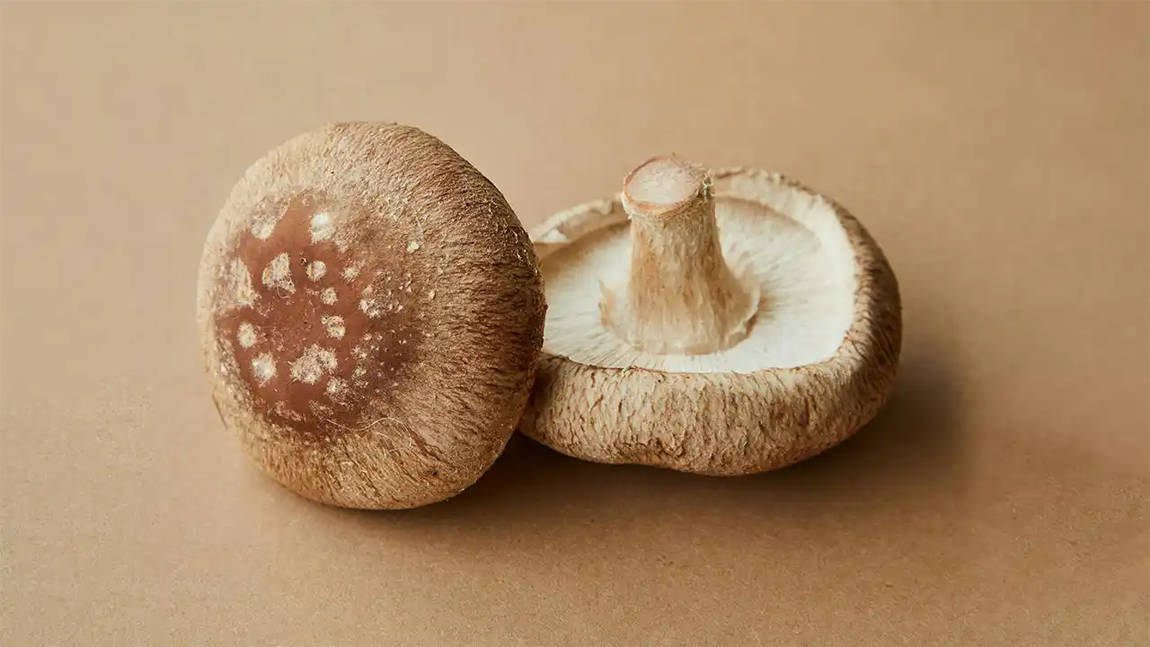 Mushrooms (Shiitake)